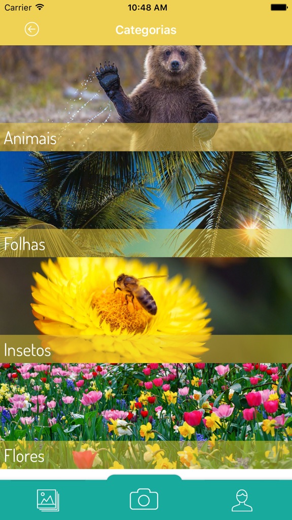 【图】Pic Learning(截图1)