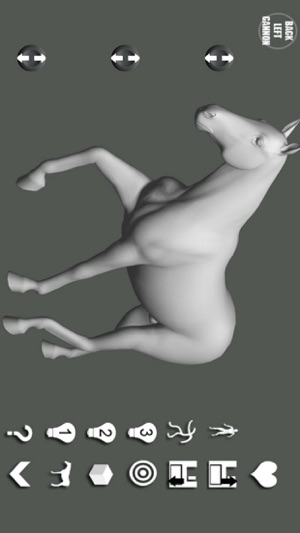 Horse Pose Tool(圖2)-速報App