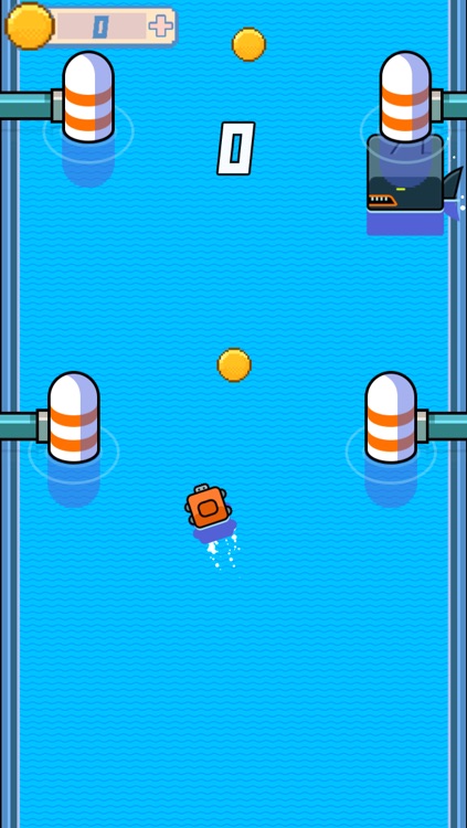 Square Turtle Swim