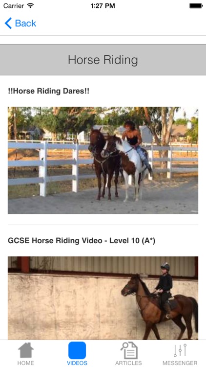Basic Horse Care