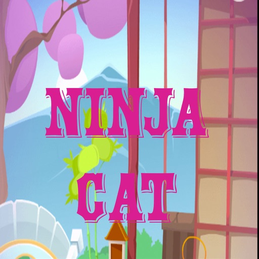 Find Fun Ninja Cat iOS App