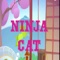 Find Fun Ninja Cat