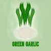 GreenGarlic App