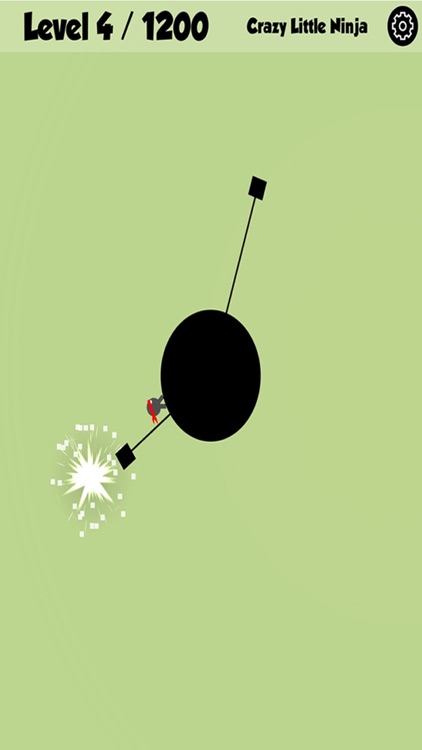 Crazy Little Ninja screenshot-4
