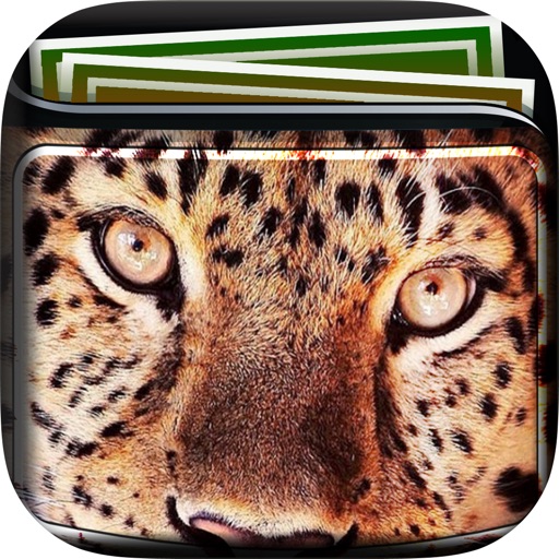 Animal Skins Wallpapers & Backgrounds HD icon