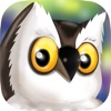Sleeping Owl - Forest Lullaby PRO