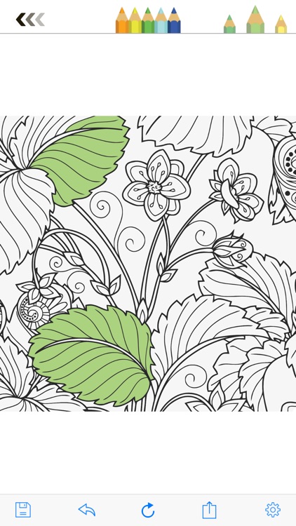 MyColor: Coloring Book for Adults