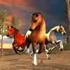 Clan Of Stallions Clan Of Stallions