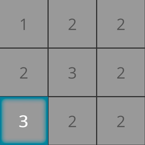 Equal Puzzle Pro for iPad iOS App