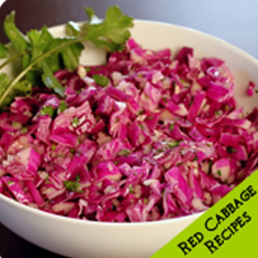 Red Cabbage Recipes icon