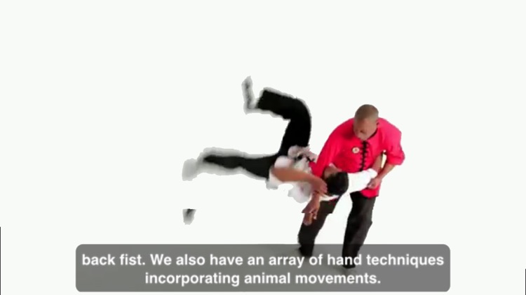 Learn Shaolin Kung Fu screenshot-4