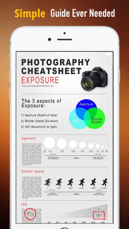 Photography Self Learn 101: Tips and Tutorials