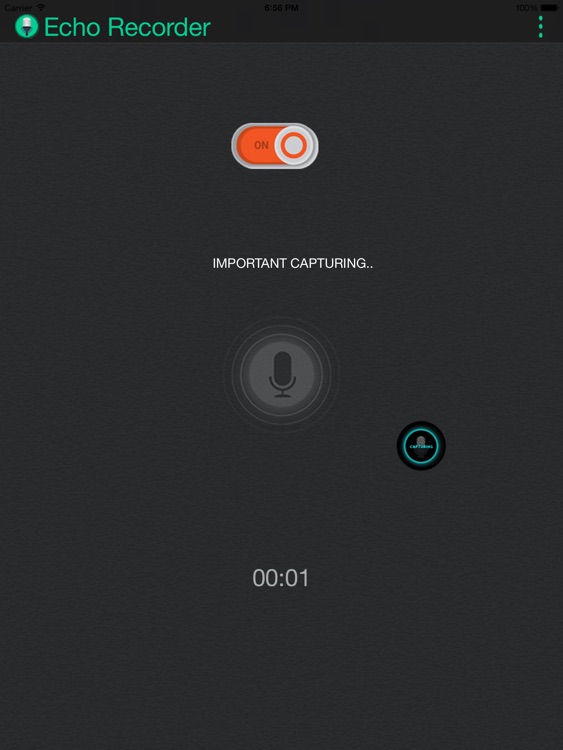 Echo for iPad screenshot-3