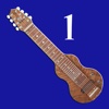 Lots of Good Stuff to Know About Lap Steel Guitar - Part 1