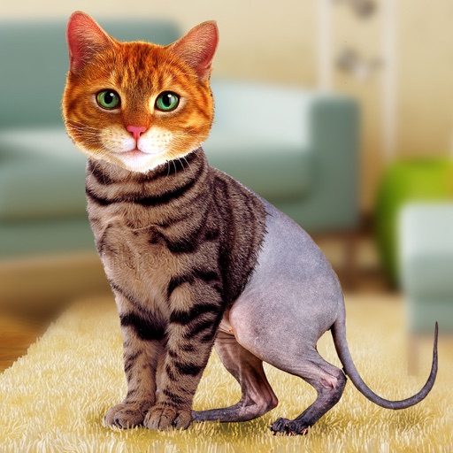 Simulator Morph Cat iOS App