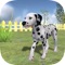 Play with your Dog: Dalmatian