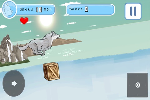Tundra Run Dash screenshot 3