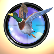 Activities of Shooting Game Duck Hunter 3D: Animal (Birds) Hunting - Best Time Killer Game of 2016