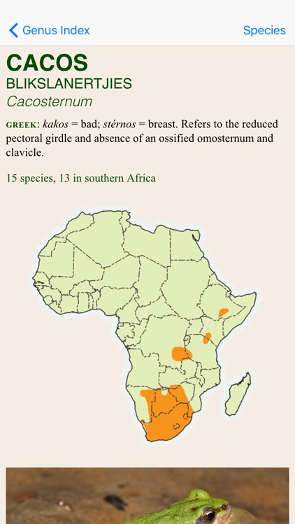 Frogs of Southern Africa screenshot-4