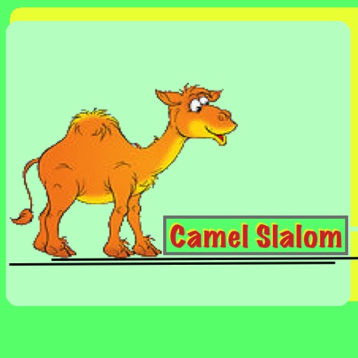 Camel Slalom icon