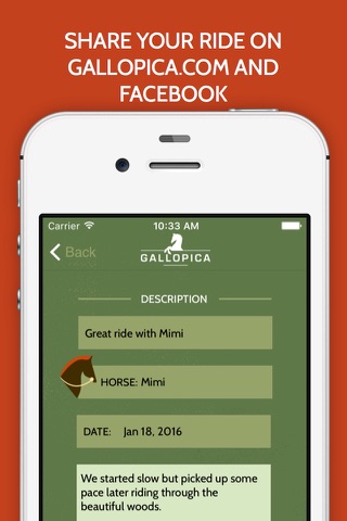 Gallopica Reiten screenshot 3