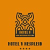 Hotel V Nesplein