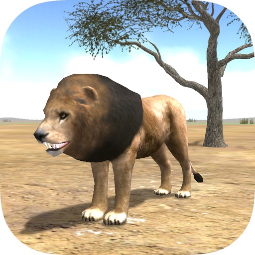 Wild Lion Adventures iOS App