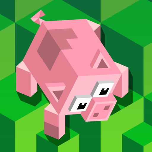 Blocky Pig Maze Race iOS App