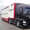 WST WS Trucks GmbH