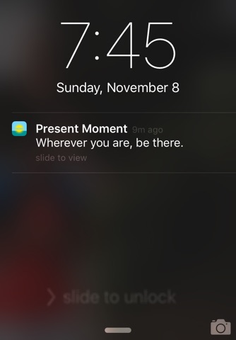 Present Moment screenshot 2