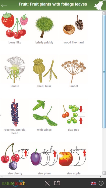 Identify 3000 plants, naturetouch screenshot-3