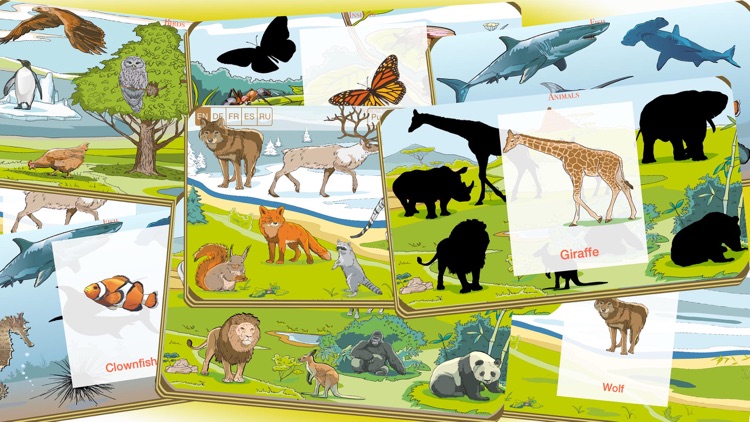 Wunderkind - world of animals game for youngster and cissy screenshot-4