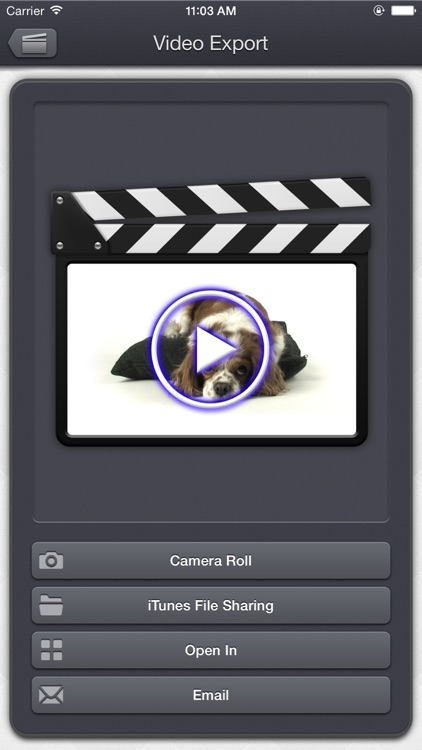 Video Audio Remover - remove the audio tracks from your videos