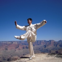 Learn Tai Chi pour PC