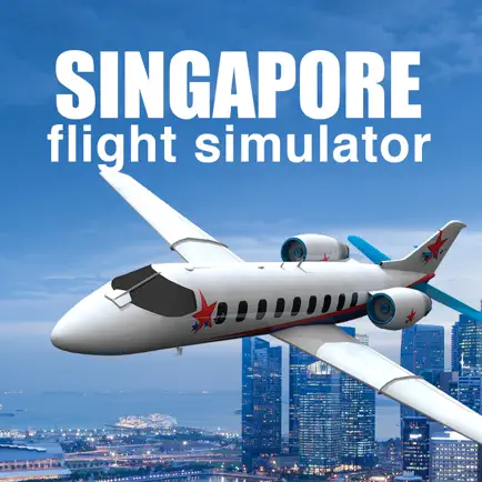 Singapore Flight Simulator Читы