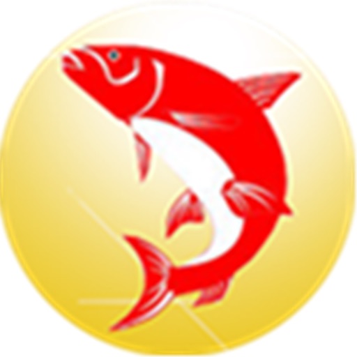 大同钓鱼网 icon