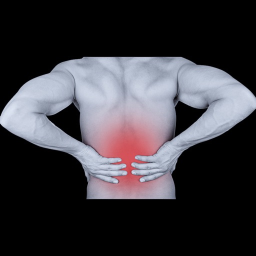 Physical Back Workout - Heal Your Back Pain With This Efficient Training Routine icon