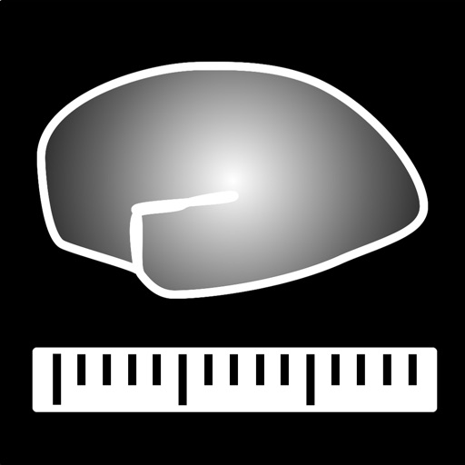 CABPad Neuropsychological Battery