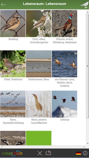 Vögel bestimmen, naturetouch(圖4)-速報App