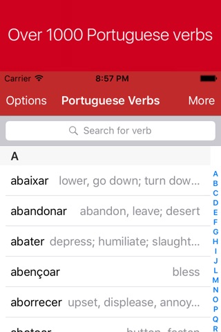 Portuguese Verb Conjugator Pro screenshot 2