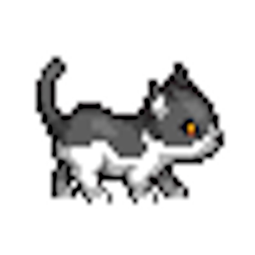 Run Kitty Kitty Run: LITE EDITION icon