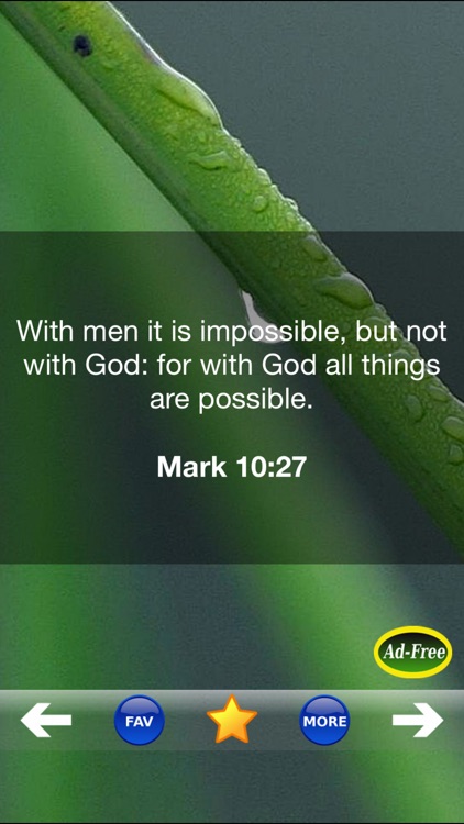 Inspirational Bible Verse of the Day FREE! Daily Bible Inspirations, Scripture & Christian Devotionals!