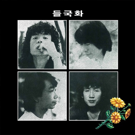 들국화 - 1집 들국화 icon