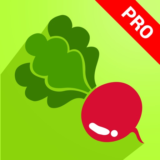 2000+ Vegetable Recipes Pro icon