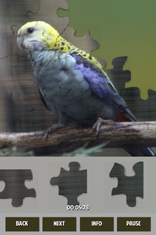 Parrots Jigsaw Puzzles screenshot 4