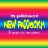New Paddock M