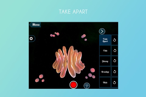 Golgi Apparatus 3D screenshot 2
