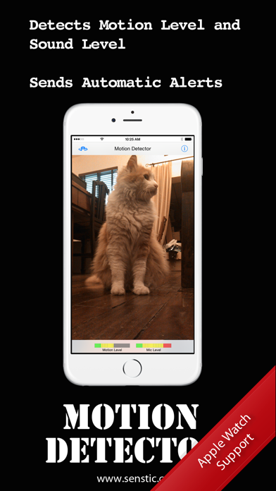 Motion Detector Screenshot 1