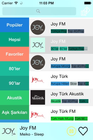 Radyo - Radyo Dinle - Müzik Dinle - En Popüler Türkçe Radyo Kanallarını Dilediğin Yerde Ücretsiz Dinle screenshot 2