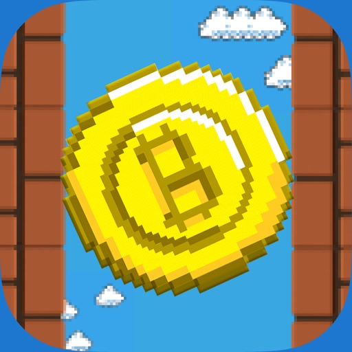 Bit-Coin Flip - Fungible Crytocurrency Wallet iOS App